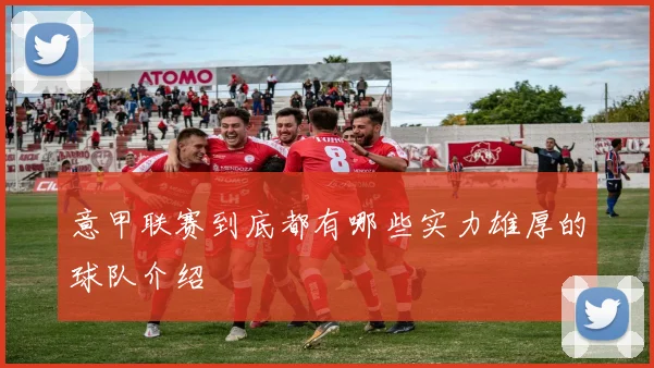 意甲联赛到底都有哪些实力雄厚的球队介绍