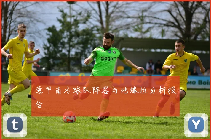 意甲南方球队阵容与地缘性分析报告