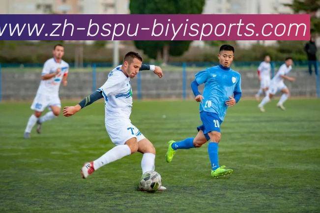 B体育平台生态图